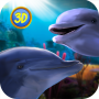 icon Dolphin Family