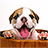 icon Puppy Live Wallpaper 2.8