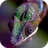 icon Chameleon Live Wallpaper 3.0