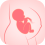 icon Pregnancy Tracker: Baby Growth
