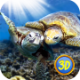 icon Turtle Family Simulator 3D for iball Slide Cuboid