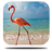 icon 3D Flamingo Live Wallpaper 4.0