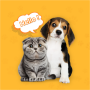 icon Dog & Cat Translator Prank App for Doopro P2