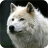 icon Wolf Pack 2 Wallpaper 1.1