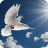 icon Pigeon Wallpaper 1.1