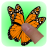 icon TouchButterfly 2.4