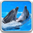 icon Dolphins Live Wallpaper 20.0