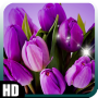 icon Tulip Pack 2 Wallpaper for Huawei MediaPad M3 Lite 10