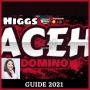 icon higgs domino aceh guide