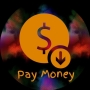 icon Pay Money