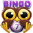 icon Bingo Crack 2.2