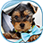 icon Cute Dogs Live Wallpaper 1.5
