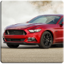 icon Mustang Driving Simulator