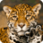 icon Animal Puzzle 2024.47