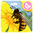icon com.sencatech.game.bee 1.3.2