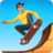 icon Flip Skater 1.45