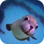 icon Sea Life HD Video Wallpapers Gallery for Samsung Galaxy J2 DTV
