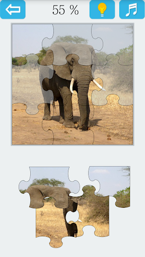 Jigsaw Puzzle: Elephant