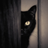 icon ru.webvo.book.AOUNLDVDBECJUQBU 5.1