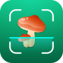 icon Mushroom ID: Fungi Identifier for intex Aqua A4