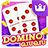 icon Domino 99 2.22.2.0