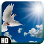 icon Pigeon Wallpaper for Samsung Galaxy Grand Prime 4G