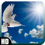 icon Pigeon Wallpaper for Huawei MediaPad M3 Lite 10