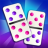 icon Domino Master 3.17.3
