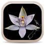 icon NZ Orchid Key