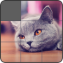 icon Jigsaw Puzzle: Cute Animals