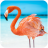 icon The Flamingo 1.0.4