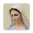 icon com.jasp.rosarioVirgenMaria 7.6