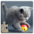 icon Cat Puzzles 29.2
