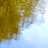 icon com.piedlove.spring.river.reflection.stream 1.7.5