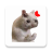 icon Stickers Cats Memes 2.2.0