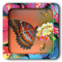 icon Butterfly Frames Editor Pro for iball Slide Cuboid
