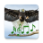 icon Animal and Bird Sounds 2.0.6
