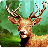 icon Hunter Kills The Deer 2.1
