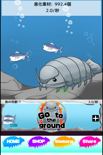 Giant Isopod