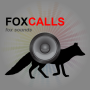 icon Fox Calls