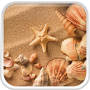 icon Sea Shell Live Wallpaper