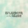 icon Splendour in the Grass for iball Slide Cuboid