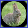 icon Rabbit Hunter