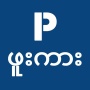 icon P-Channel Pro