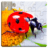 icon se.appfamily.puzzle.insects.free 25.0
