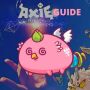 icon Axie Infinity Guide