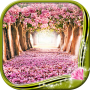 icon Spring Flowers Live Wallpaper