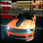 icon Real Night City Parking