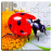 icon Insect Puzzles 33.0