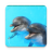 icon Dolphin Sounds 5.0.1-40027